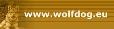 www.wolfdog.eu - Alles über Tschechoslowakische Wolfshunde mit Forum für alle Wolfshunde-Fans